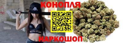 стаф Кандалакша