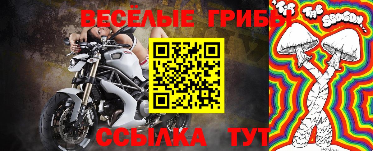 Галлюциногенные грибы GOLDEN TEACHER Клин